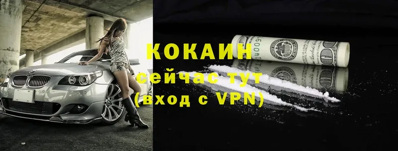 MEGA зеркало  Ангарск  Cocaine Fish Scale 