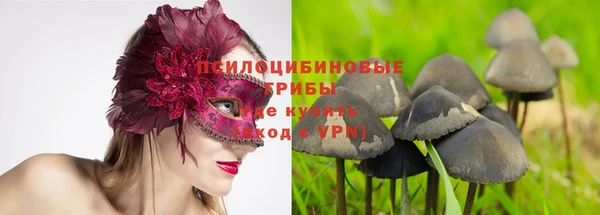 mdpv Касимов