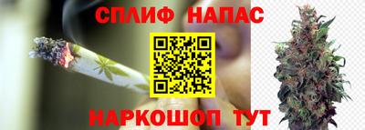 МДМА Гатчина