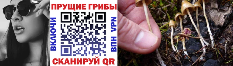 Галлюциногенные грибы ЛСД  Ангарск 