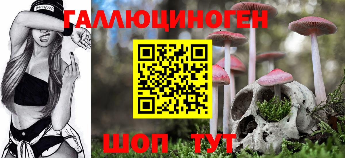 Псилоцибиновые грибы GOLDEN TEACHER  Псилоцибиновые грибы ЛСД  Ангарск  Вход с VPN 