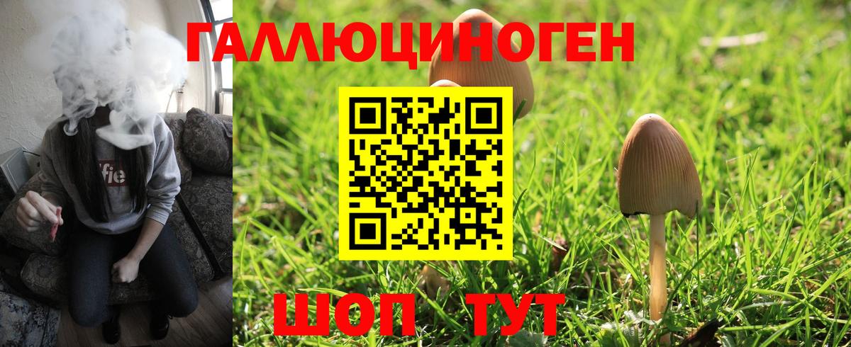 Галлюциногенные грибы Psilocybe  Вход с VPN  Ангарск 